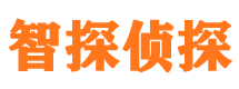 宣城外遇调查取证